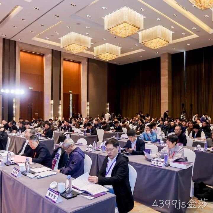 4399js金莎</a>参加2025智能微系统研讨会